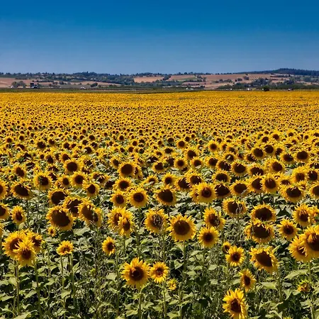 Du Chateau 호텔 Bellenaves